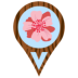 Cherry Blossom Icon