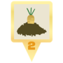 goldencarrotplant.png