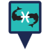 Pisces Icon