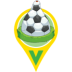 Fussball Icon