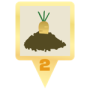 vierpunktnull:goldencarrotplant.png