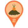 vierpunktnull:carrotplant.png